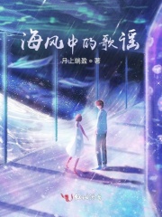 海风吹的歌曲叫什么