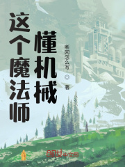 这个魔法师懂机械？