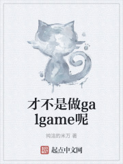 才不是做galgame呢 小说