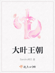 大叶王皮革有限公司