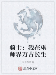 骑士：我在巫师界万古长生