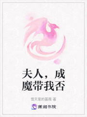 夫人，成魔带我否