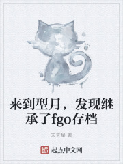 来到型月，发现继承了fgo存档