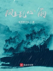 风乱心雨